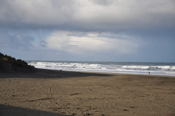 Ocean Beach Scene