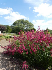 Obraz premium Rothbury One