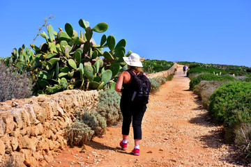Vendicari Nature Reserve (dry stone walls) Sicily Italy