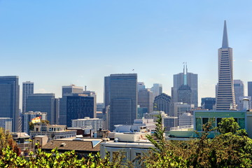 Fototapeta premium San Franzisko Skyline