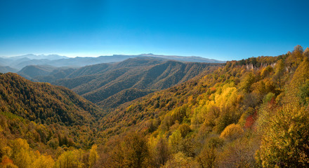 Early Autumn on the Lagonaki Plateau in the Caucasus Mountains