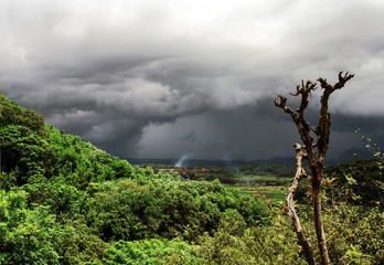 Summer tropical landscape before storm