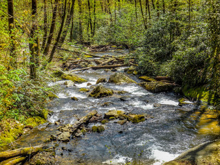 Obraz premium Flowing Water