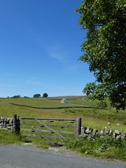 Teesdale