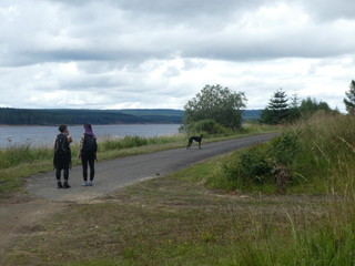 Kielder 2018