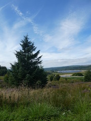 Kielder 2018