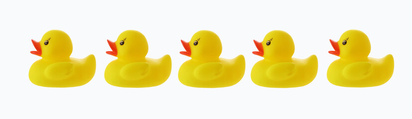 Five ducks in a row with clipping path