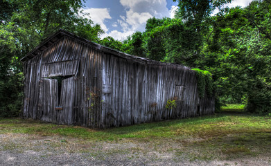 Old Barn In Woods In North Carolina