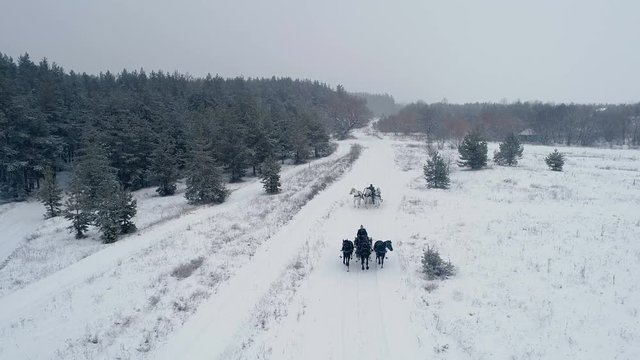 Aerial view of russian troika of three black and three white horses in harness pulling a sleigh in the winter forest. 4K