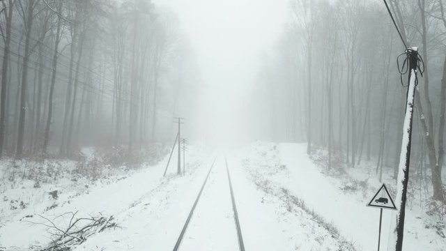 fog haze gray gloomy forest trees road path nature winter snow