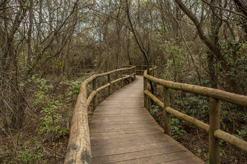 Fototapeta premium Wood bridge in Cabañeros National Park, Ciudad Real, Spain.