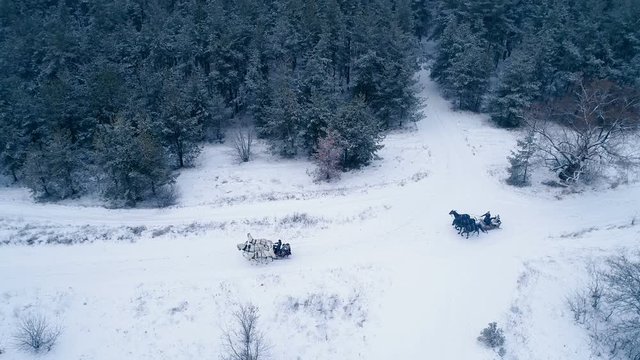 Aerial view of troika. A Russian carriage drawn by a team of three black and three white horses side by side. 4K