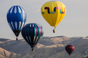 Fototapeta premium Early Morning Launch of Hot Air Balloons