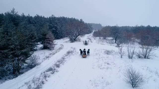 Aerial view of russian troika of three black and three white horses in harness pulling a sleigh in the winter forest. 4K