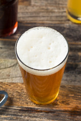 Refreshing Cold Craft Beer Assortment