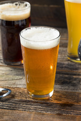 Refreshing Cold Craft Beer Assortment