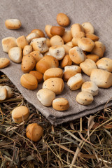 Kūčiukai (also šližikai) is a traditional Lithuanian dish served on Kūčios, the traditional Christmas Eve dinner in Lithuania. Sweet pastries made from leavened dough and poppy seeds 