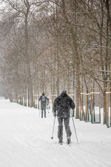 Narciarze w parku zimą - obrazy, fototapety, plakaty