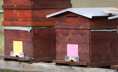 Farm of beehive in Sic village, Transylvania, Romania