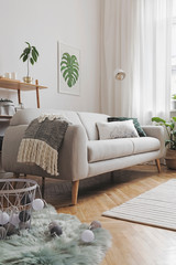 Bright and stylish  scandinavian room with design sofa, poster, plants, bookstand, basket, cozy blanket  and carpet. White background walls, brown wooden parquet and modern lamp. 