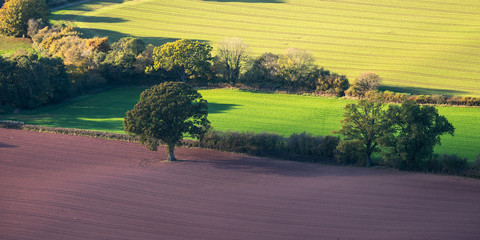 Fototapeta premium Fields.