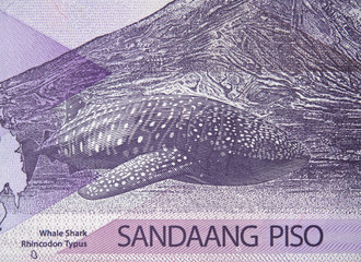 Whale shark on Philippine 100 peso (2015) bill, Philippines money currency close up.