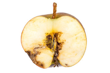 Close up Boring trace of a codling moth Cydia Pomonella, in a half wormy apple. On white background.