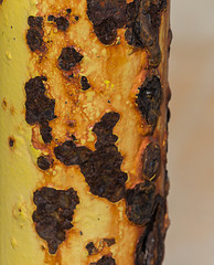 Superficie  amarilla con herrumbre