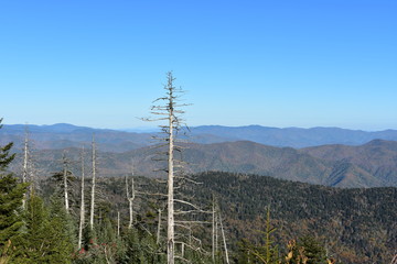 Obraz premium Smoky Mountains