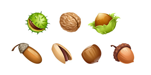 vector set of different types of nut fruits