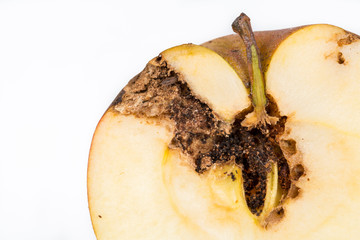 Close up Boring trace of a codling moth Cydia Pomonella, in a half wormy apple. On white background.