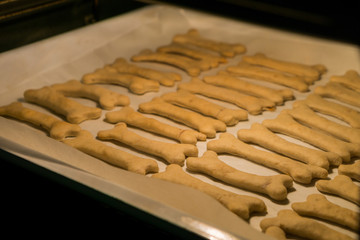 Christmas cookies for dogs in bone shape baking in the oven
