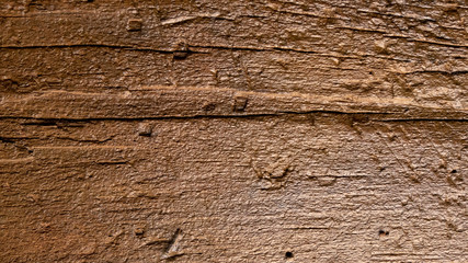 Wood Texture
