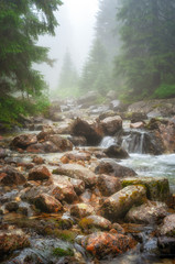 Mountain stream Tatras National Park