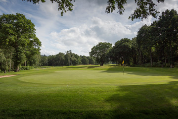 Scenic view of a Golf Green and Fairway