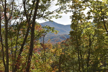 Fototapeta premium Smoky Mountains