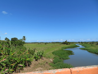 Fototapeta na wymiar Eine wunderschöne grüne Wiese verläuft ewig weit entlang eines kleines Flusses im Norden der Dominikanischen Republik