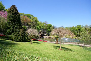 Emirgan Park is most beautiful parks in Istanbul