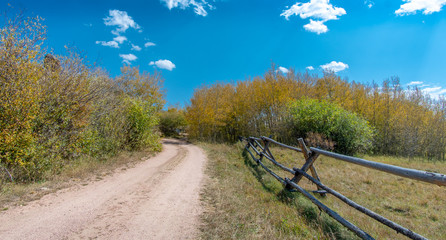 Fototapeta premium Wooden fence along a gravel road leading into colorful brush