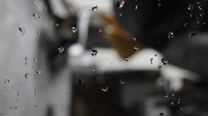 Window Fall © Gustavo Aiden