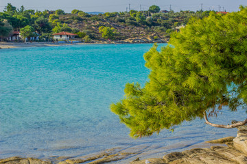 Naklejka premium summer sea vacation and tourist agency concept photography of vivid colorful landscape with green cedar south tree above blue bay lagoon water surface and opposite island with small hostel villa house