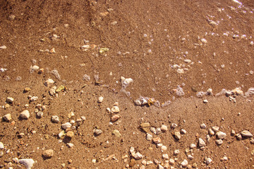 bright vivid yellow sea sand and stones shoreline background texture surface