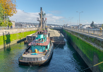 At the Ballard Locks at Puget Sound, Seattle, Washginton