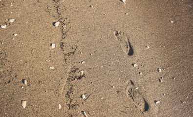 foot prints on sea sand and small stones shoreline background wallpaper texture surface near with water wave in summer bright yellow lighting 