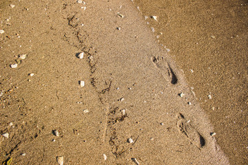 foot prints on sea sand and small stones shoreline background wallpaper texture surface near with water wave in summer bright yellow lighting 