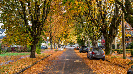 Autumn onthe streets of Vancouver. Beautiful British Columbia, Canada.