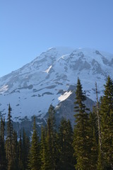 Rainier and Olympic Mountains
