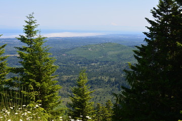 Rainier and Olympic Mountains