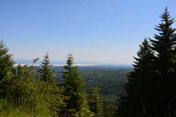 Rainier and Olympic Mountains