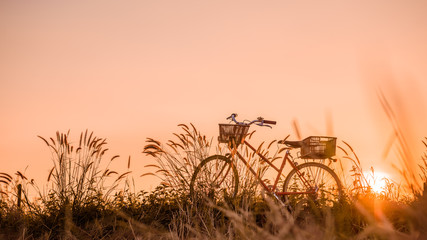 beautiful landscape image with Bicycle at sunset